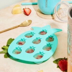 Blush Pineapple Shaped Ice Mold NEW